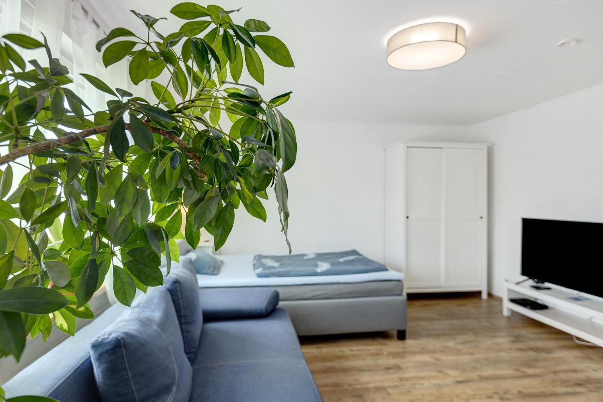 Ferienwohnung Pepe Donaueschingen Eksteriør billede